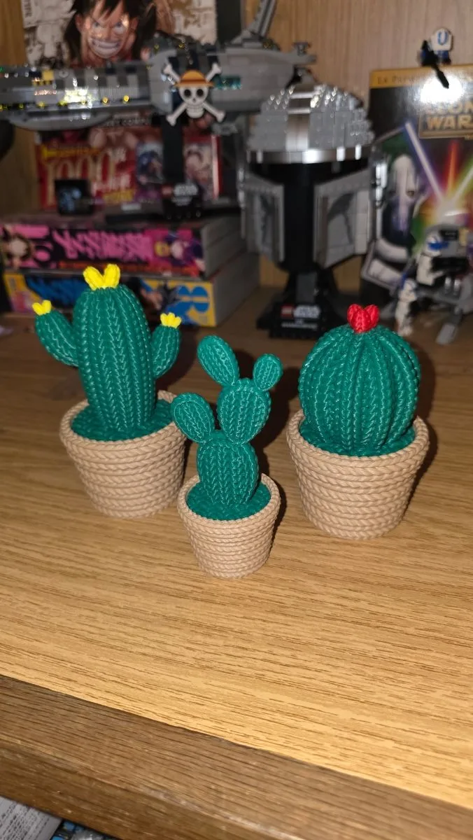 Cactus decorativos impresos en 3D.